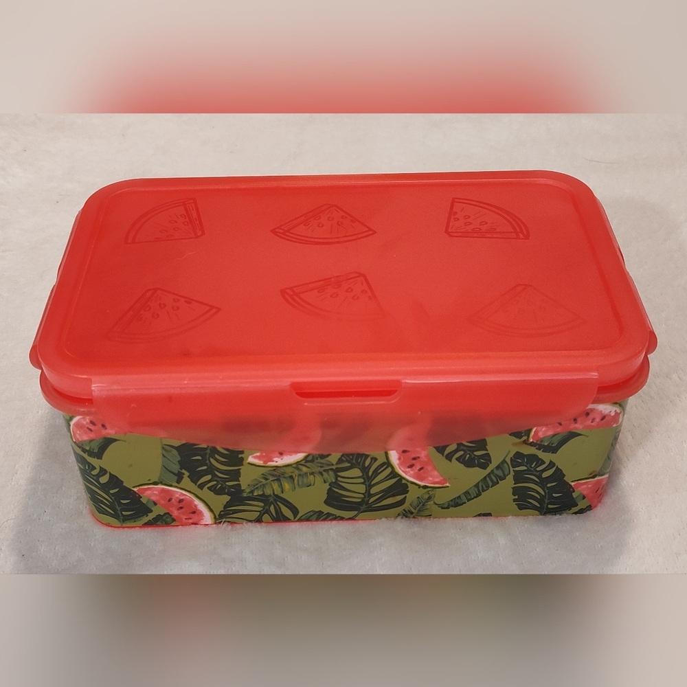 NEW! Watermelon Food Storage Container